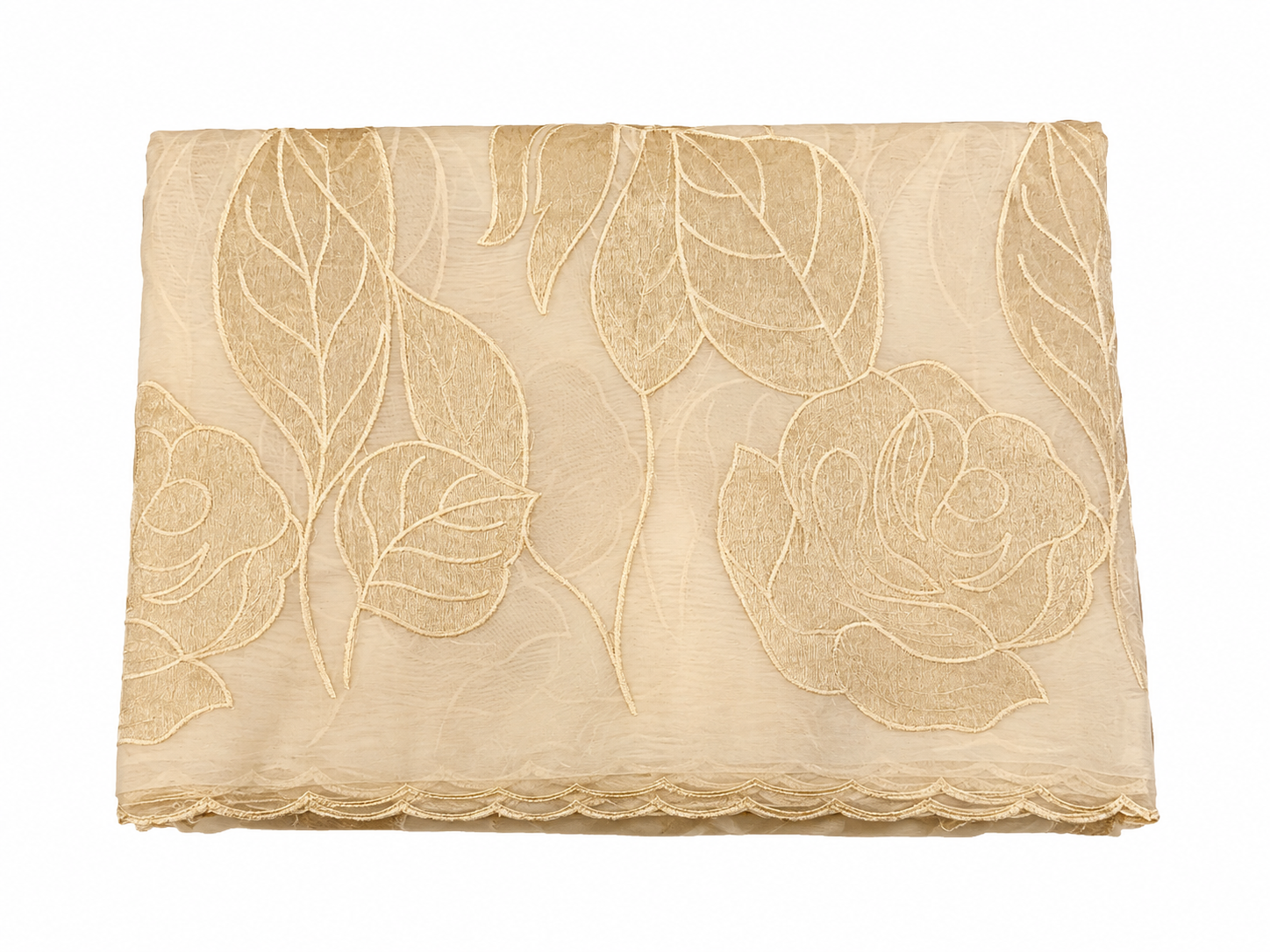 Organza Saree - Cream