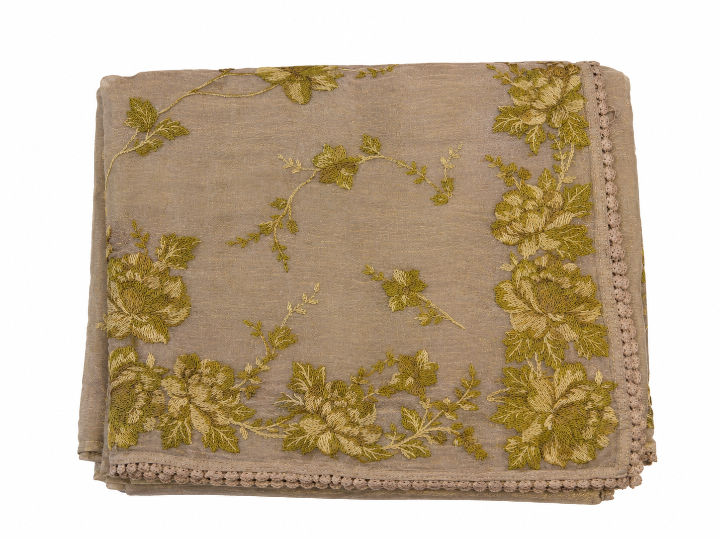 Tissue Organza Saree - Camel